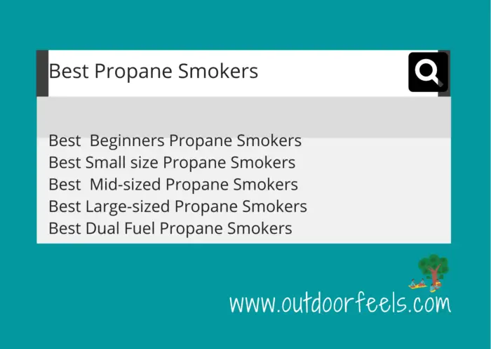 Best Propane Smokers