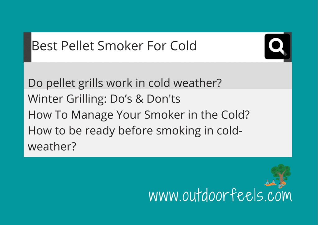 Best Pellet Smoker For Cold_Featured Image