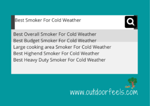 Best Smoker For Cold Weather_Featured Image