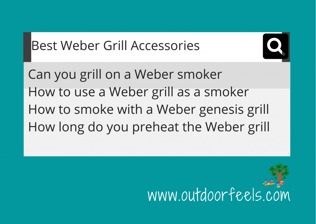 Best Weber Grill Accessories