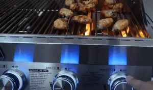 Image of Gas Grill.